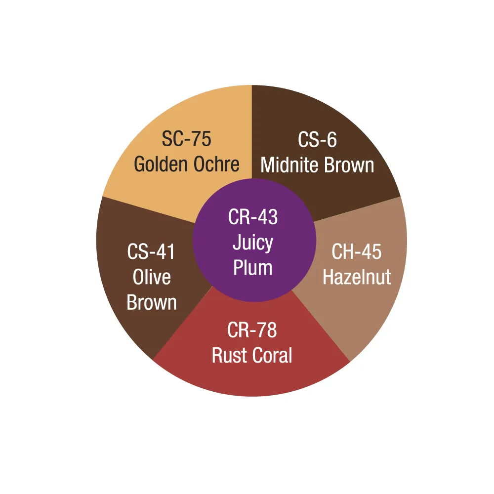 Ben Nye CBW-7 Dark Brown Contour Wheel