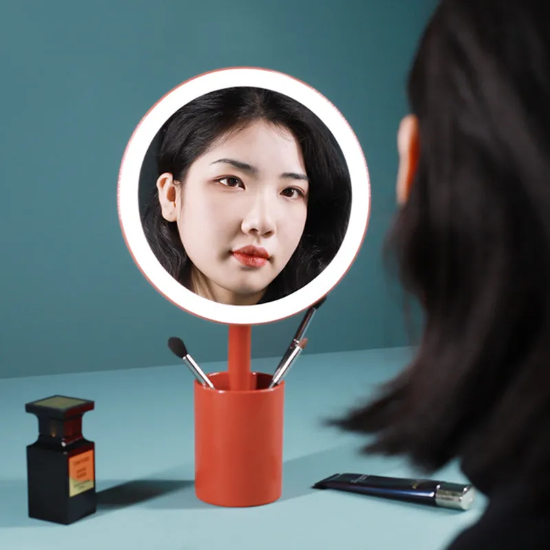 Brush Holder Mirror