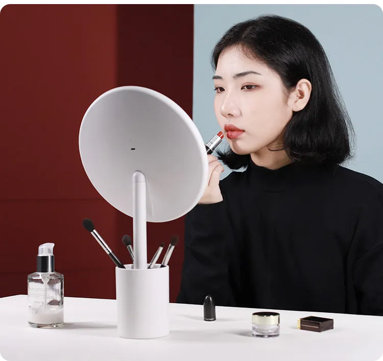 Brush Holder Mirror