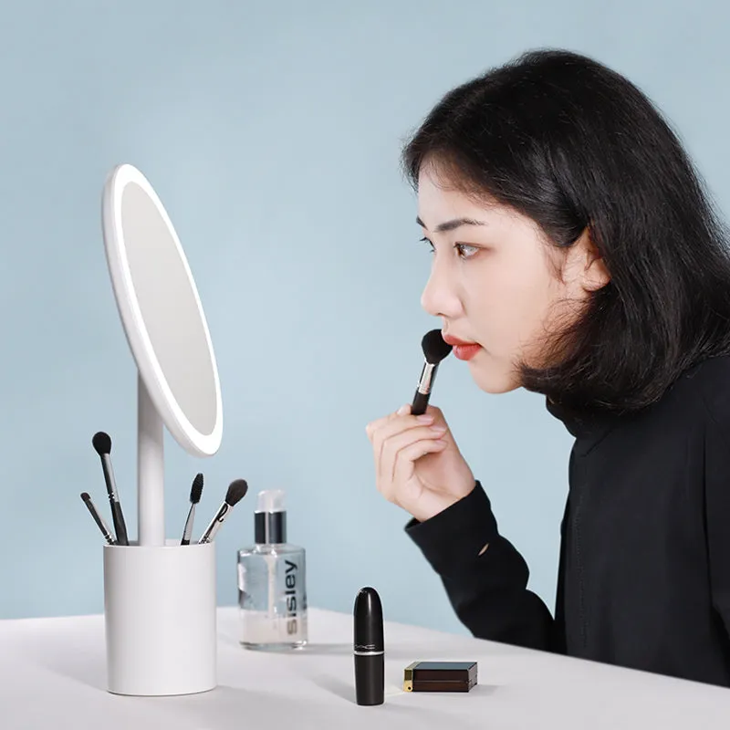 Brush Holder Mirror