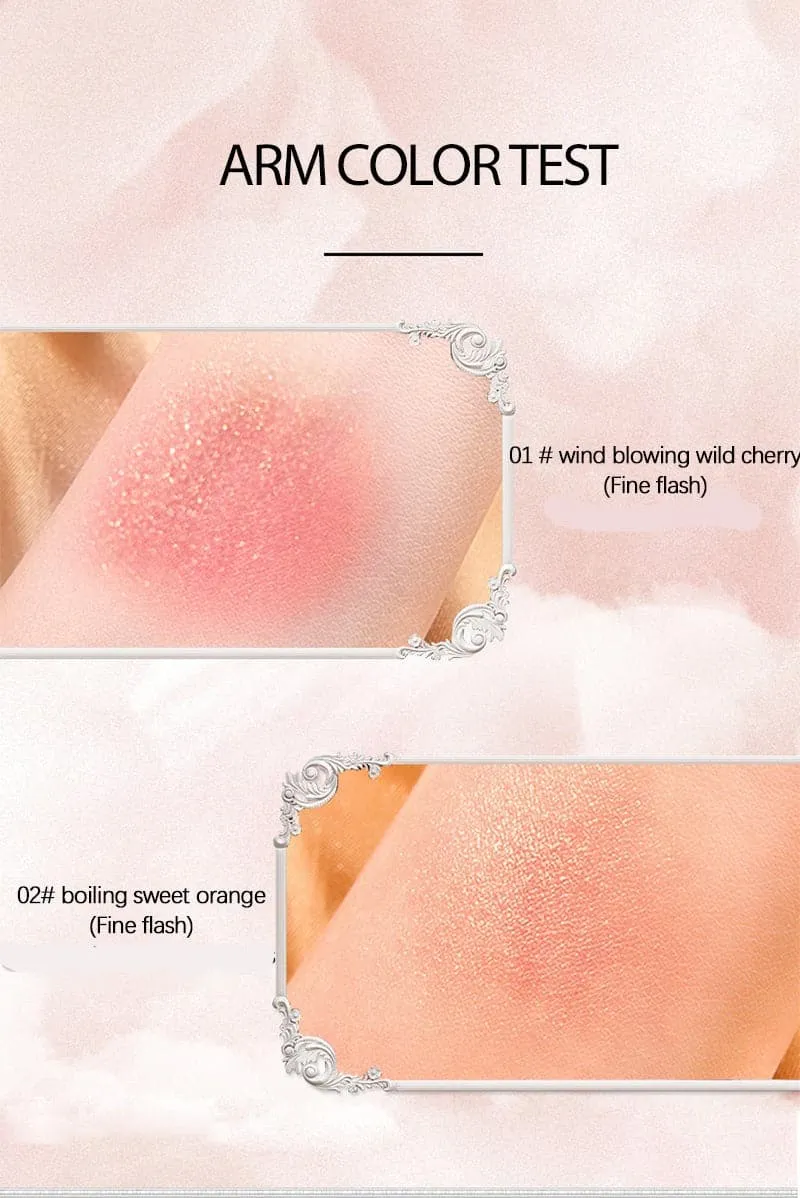 CDE Women's Elegant Fashion Premium Quality Cosmetics Concealer Powder Makeup